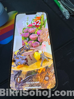 iPhone 13 Pro Max Max-256GB (Used)